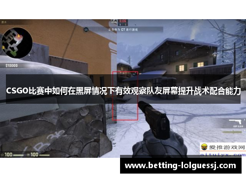 CSGO比赛中如何在黑屏情况下有效观察队友屏幕提升战术配合能力